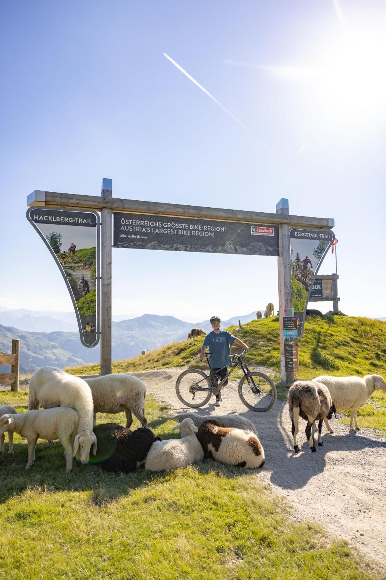 Landhaus Saalbach - Joker Card Included In Summer Bed & Breakfast Exterior photo